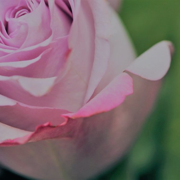 Other - Hello! Feel welcome to bundle :)